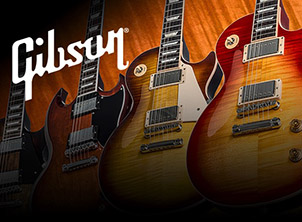 You Asked for it - and here it is, The Gibson warranty tech and check video.