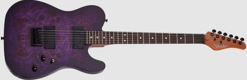 Schecter SCH3956 PT Standard Electric Guitar - Purple Burst Burl
