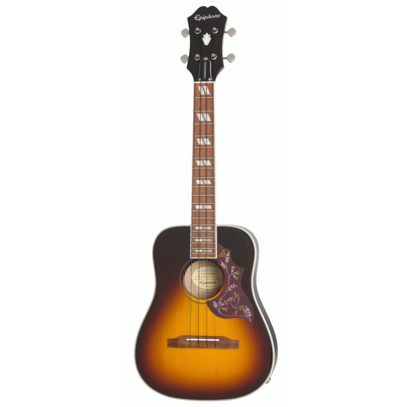 EPIPHONE HBIRD AC/EL UKE TS