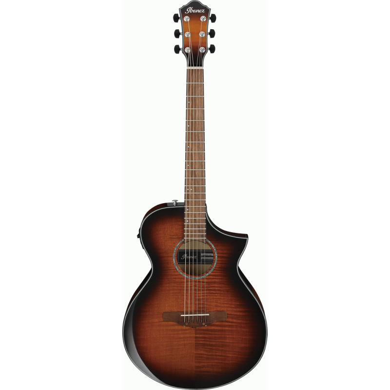 IBANEZ AEWC400 AMS ACOUSTIC GUITAR