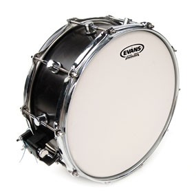 Evans B14STD ST Dry Drum Head Skin 14"