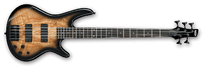 Ibanez SR205SM NGT 5 String Bass