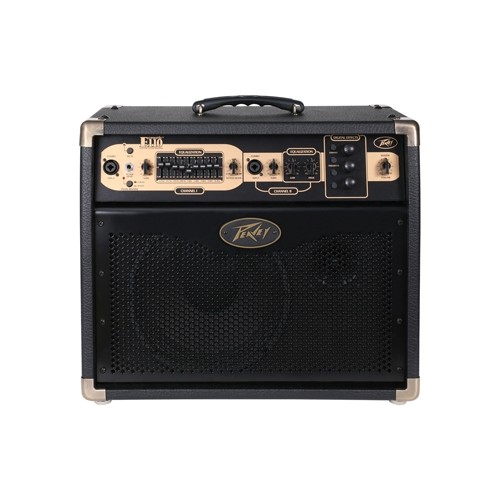 Peavey Ecoustic Series 100-Watt 1 x 10" Acoustic Amp Combo