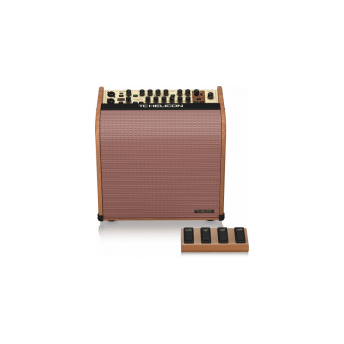 TC HELICON HARMONY V60 ACOUSTIC AMP