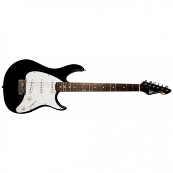 Peavey Raptor Custom Series Electric Guitar in Black - PVRAPCUSBLK