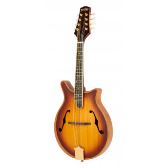 Bryden Arch Top Mandolin - Contemporary Style